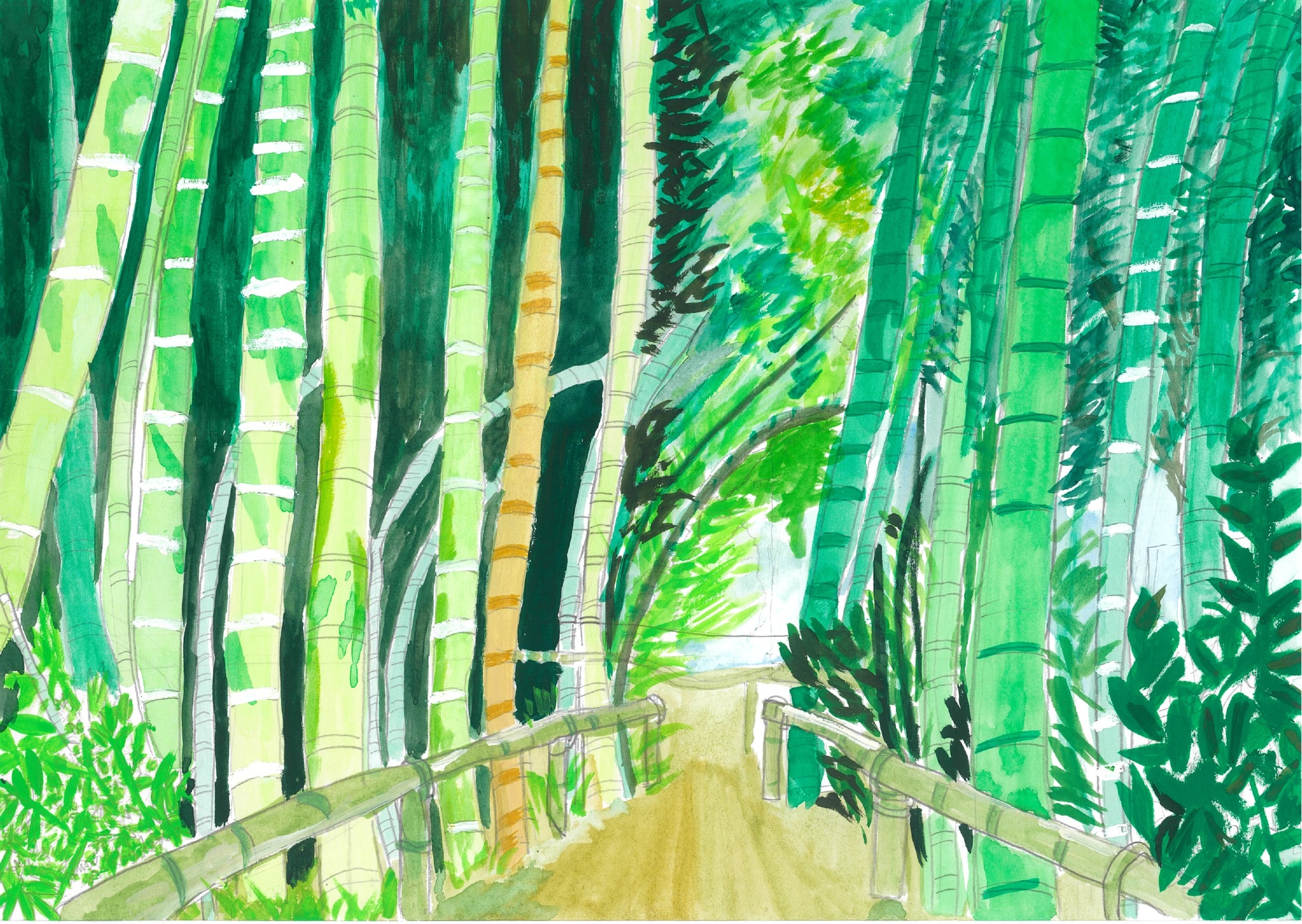 努力賞 「夏のたけのこ公園」 小平市立小平第十一小学校3年 五十嵐裕登さん