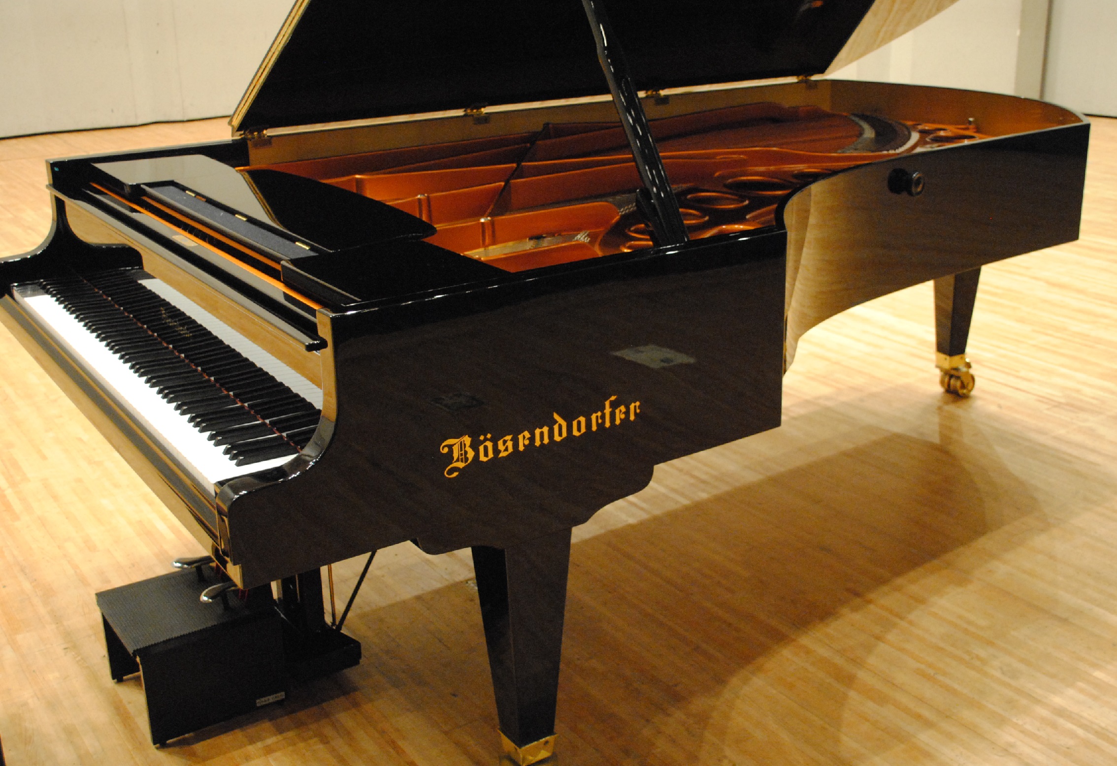 ベーゼンドルファーの画像